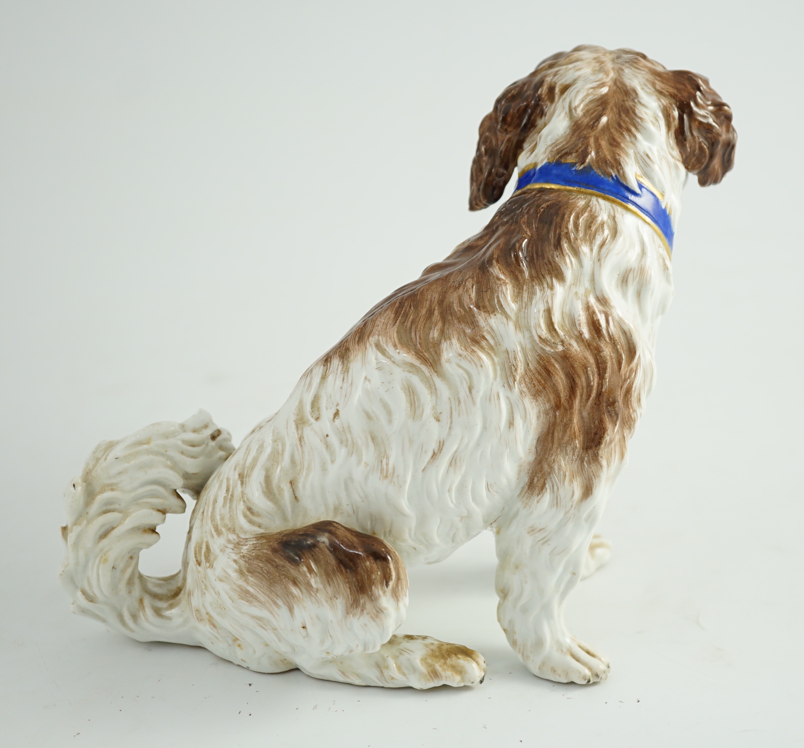A Meissen seated figure of a German Wachtelhund (spaniel), 19th century, 19cm high, restoration and damage